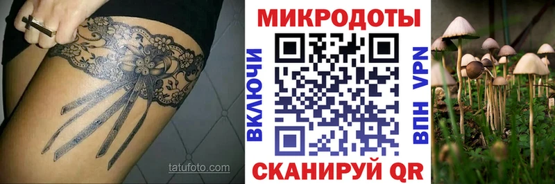 Псилоцибиновые грибы Psilocybine cubensis  купить закладку  Ува 